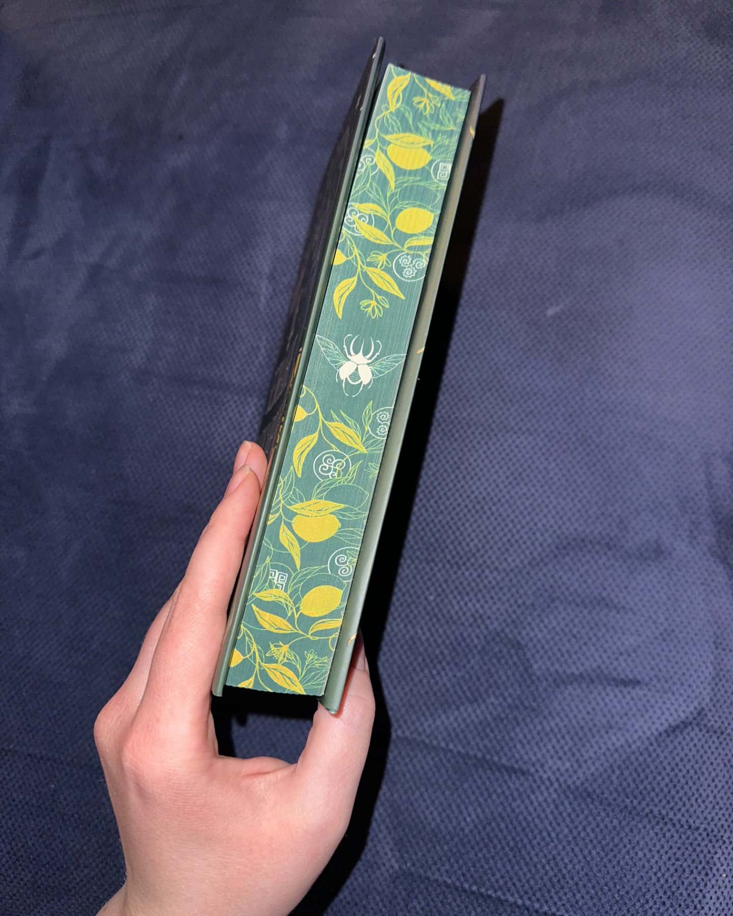 Це безжальне благословення-Емілі Сід