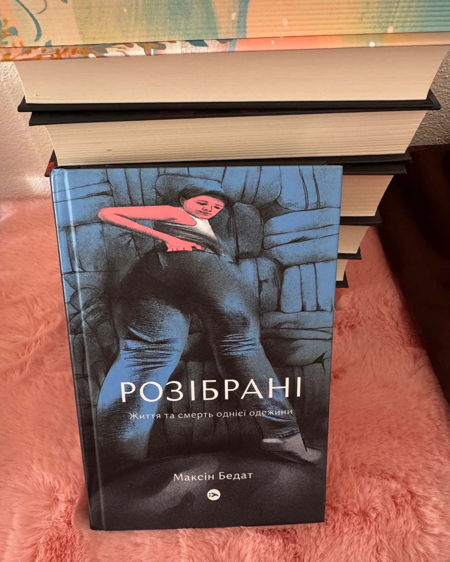 Розібрані. Життя та смерть однієї одежини-Максін Бедат