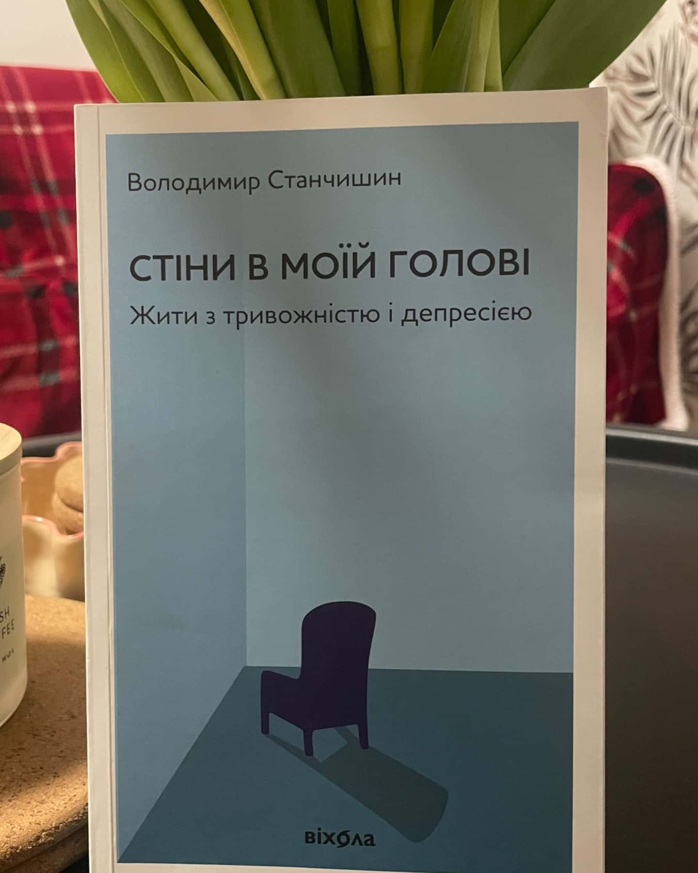 Стіни в моїй голові. Жити з тривожністю і депресією-Володимир Станчишин