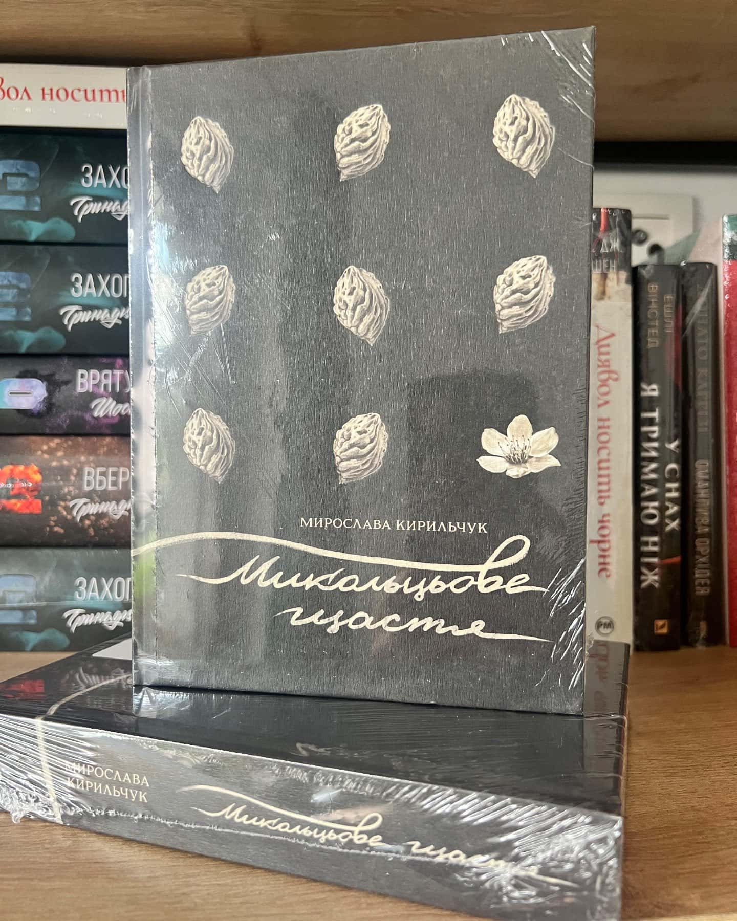 Микольцьове щастя — Мирослава Кирильчук