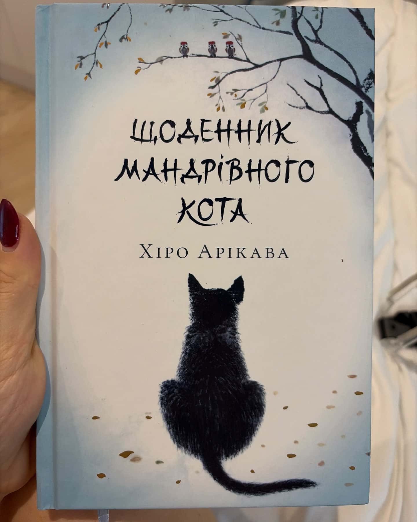 Щоденник мандрівного кота-Хіро Арікава