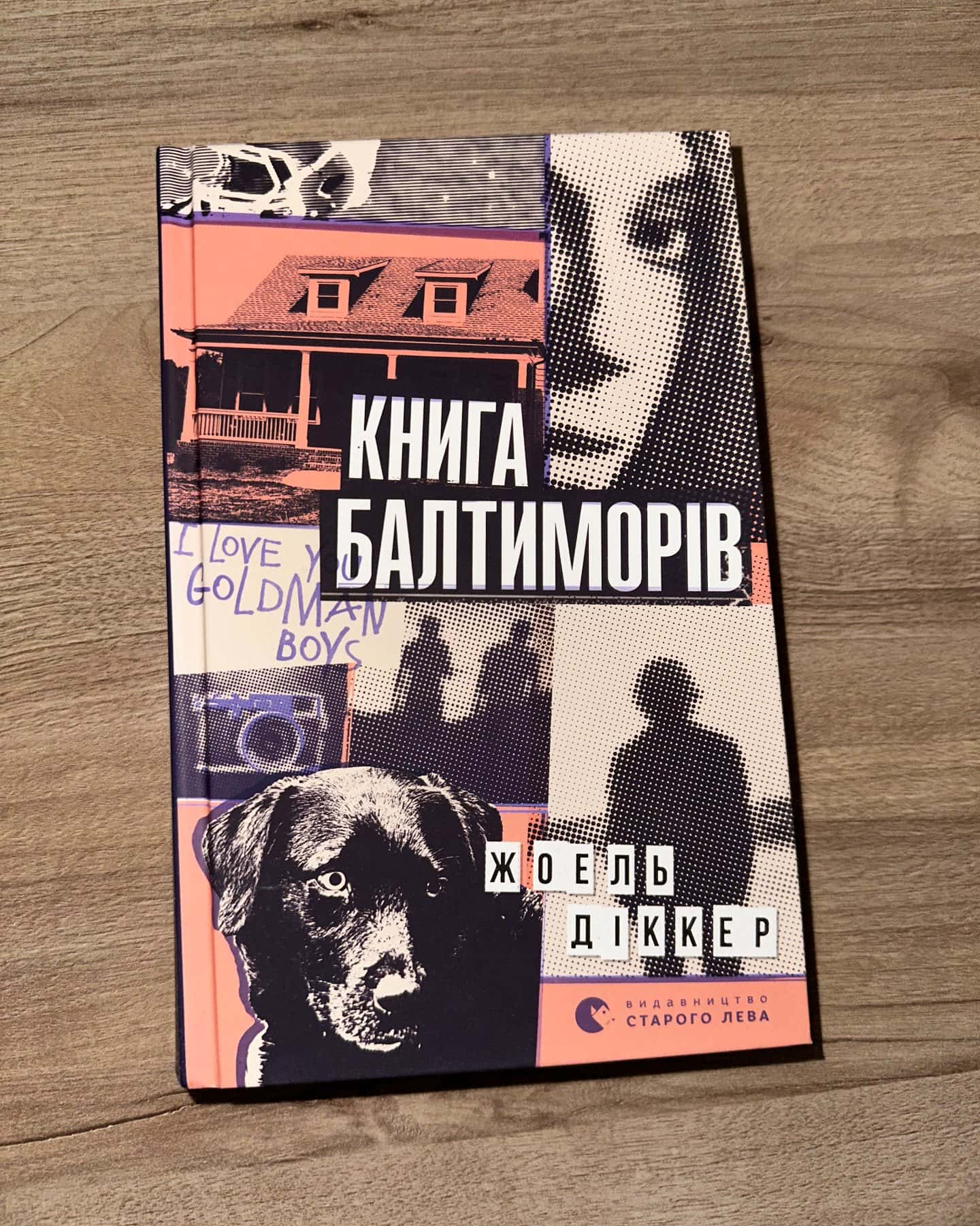 Книга Балтиморів, Зникнення Стефані Мейлер, Правда про справу Гаррі Квеберта — Жоель Діккер