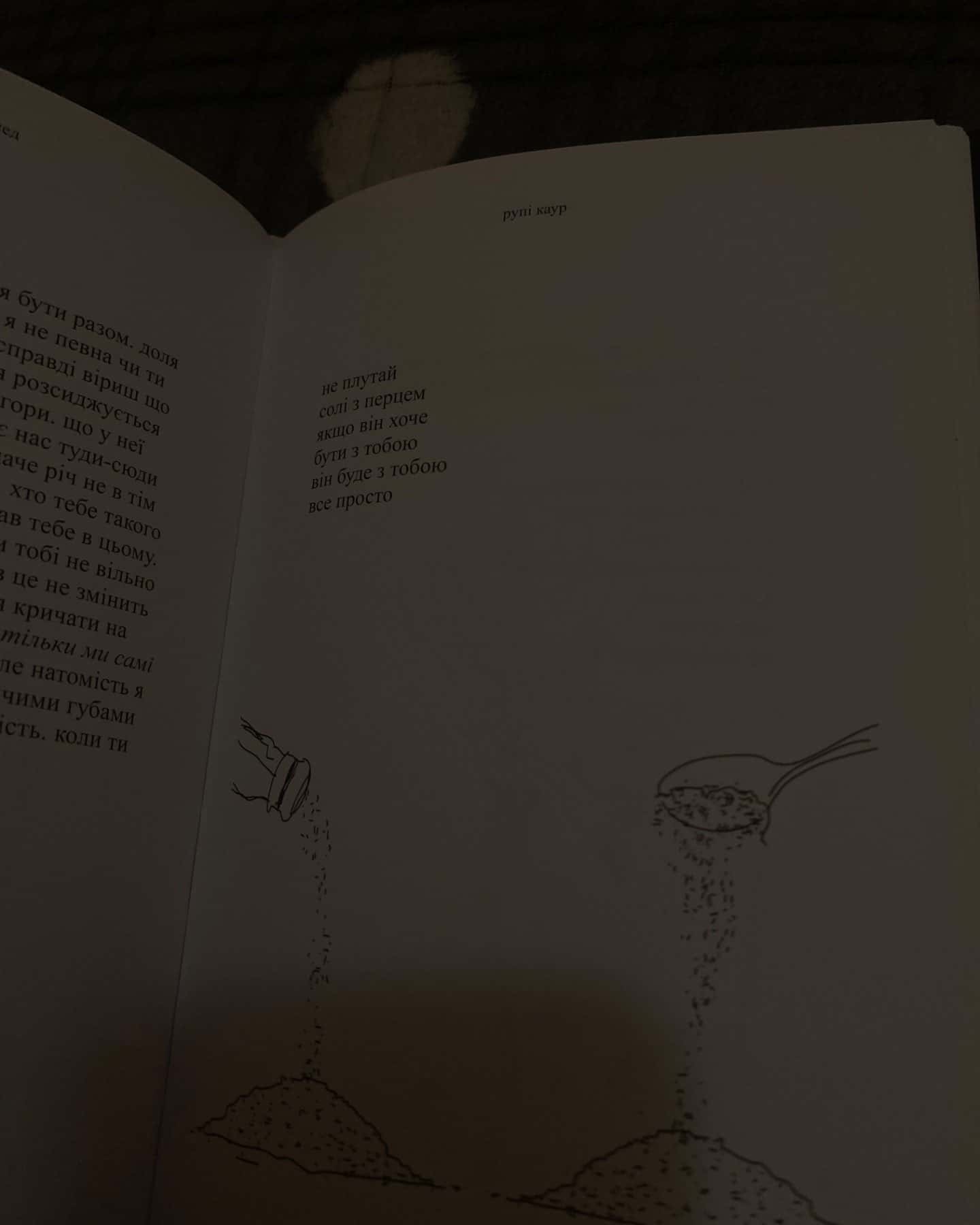 Молоко і мед-Рупі Каур