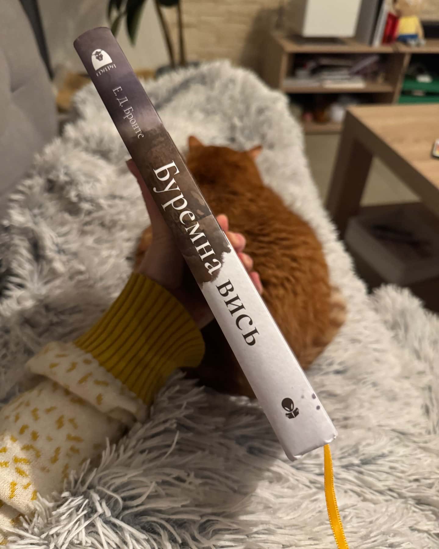 Буремна вись-Емілі Джей Бронте