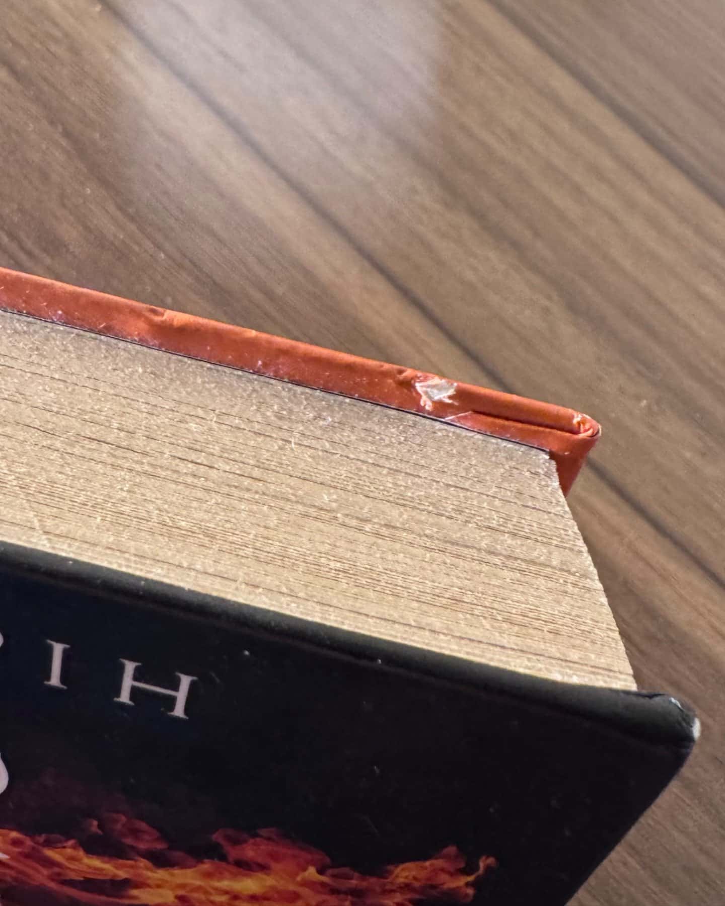 «Напівлихий», «Напівдикий», «Напівзагублений»-Саллі Ґрін