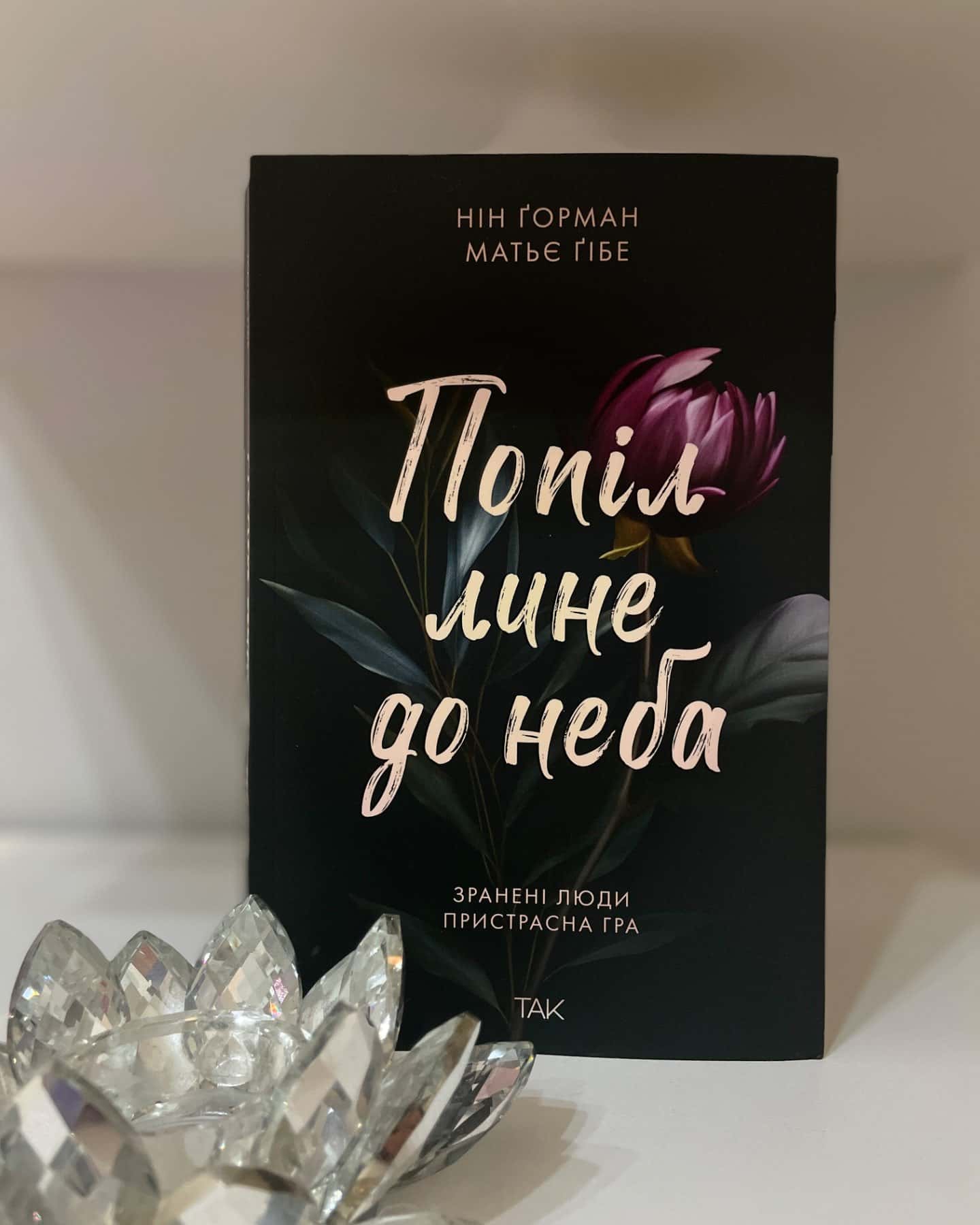 Попіл лине до неба. Том 1-Матьє Ґібе, Нін Ґорман