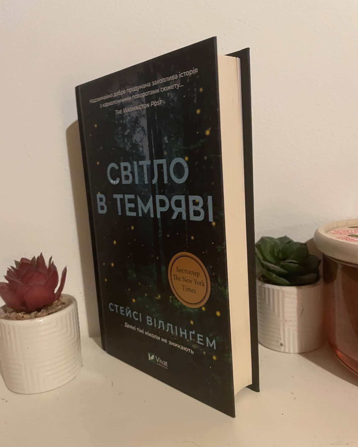 Світло в темряві — Стейсі Віллінґем