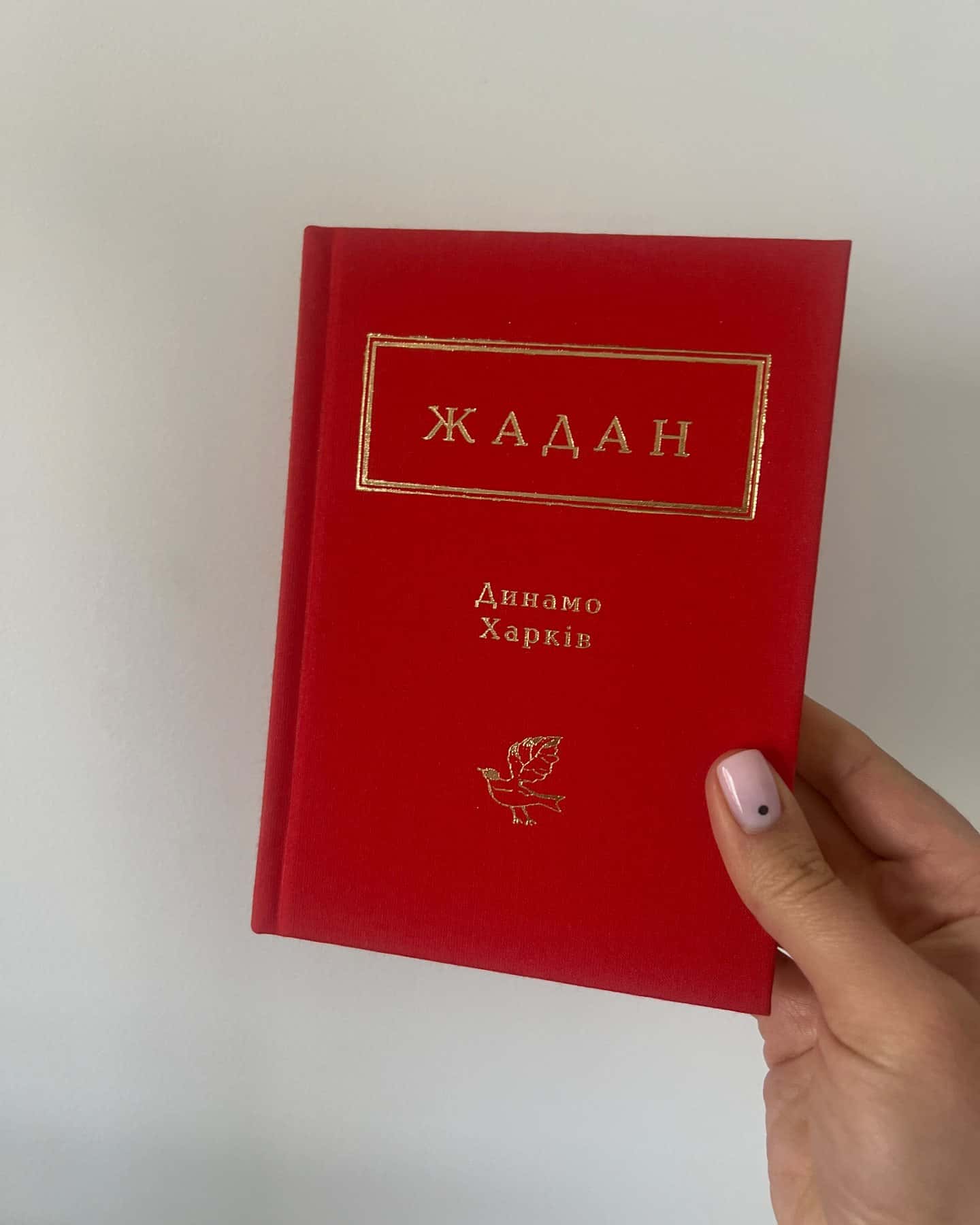 Динамо Харків-Сергій Жадан