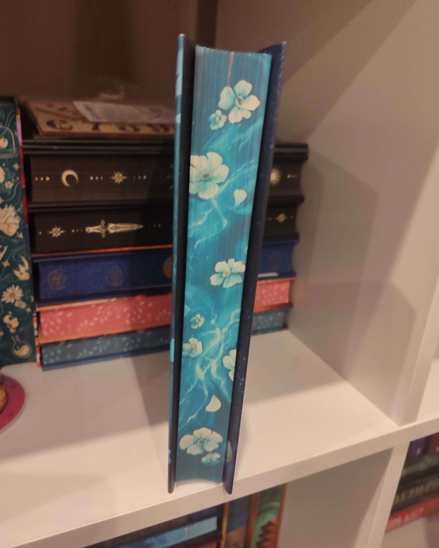 Подаруй мені свою опівніч-Рейчел Гріффін