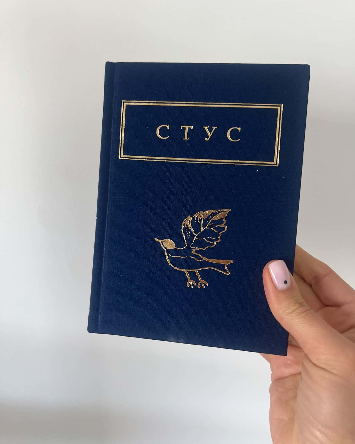 Стус. Палімпсести-Василь Стус