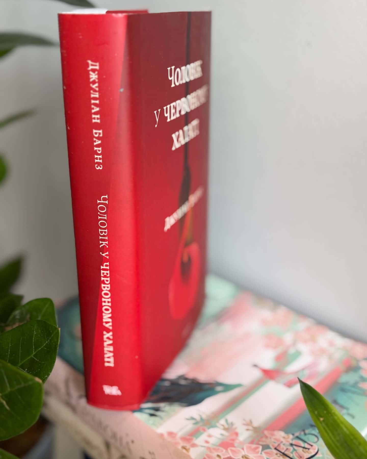 Чоловік у червоному халаті-Джуліан Барнз