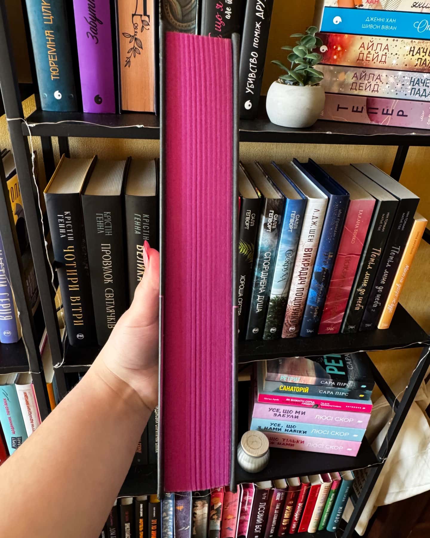 М'ясник та Чорна Пташка-Брінн Вівер