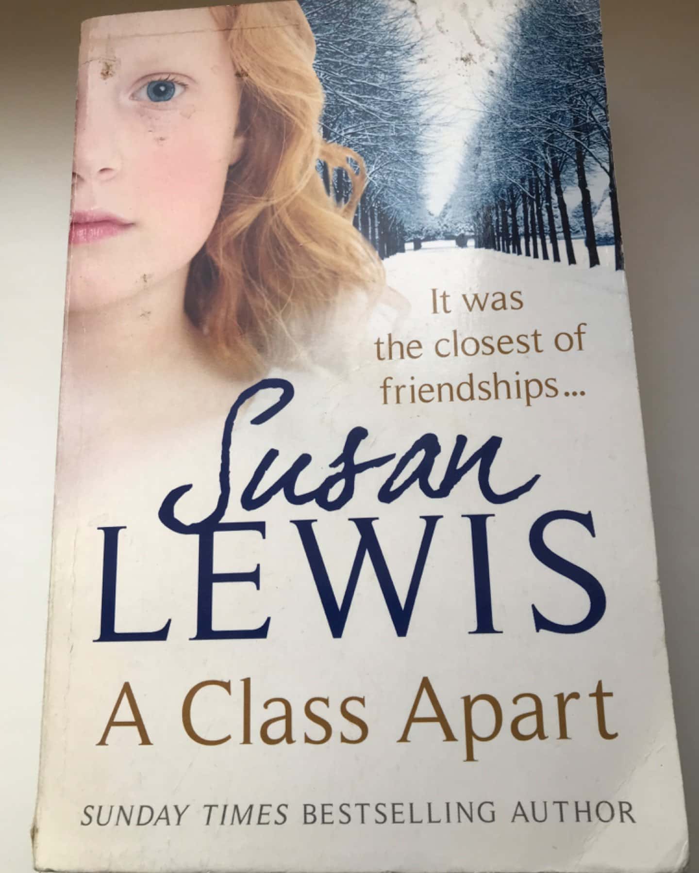 A Class Apart-Susan Lewis