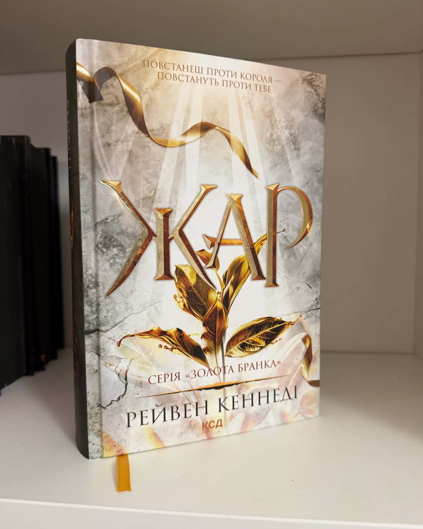 Серія книг Золота бранка-Рейвен Кеннеді
