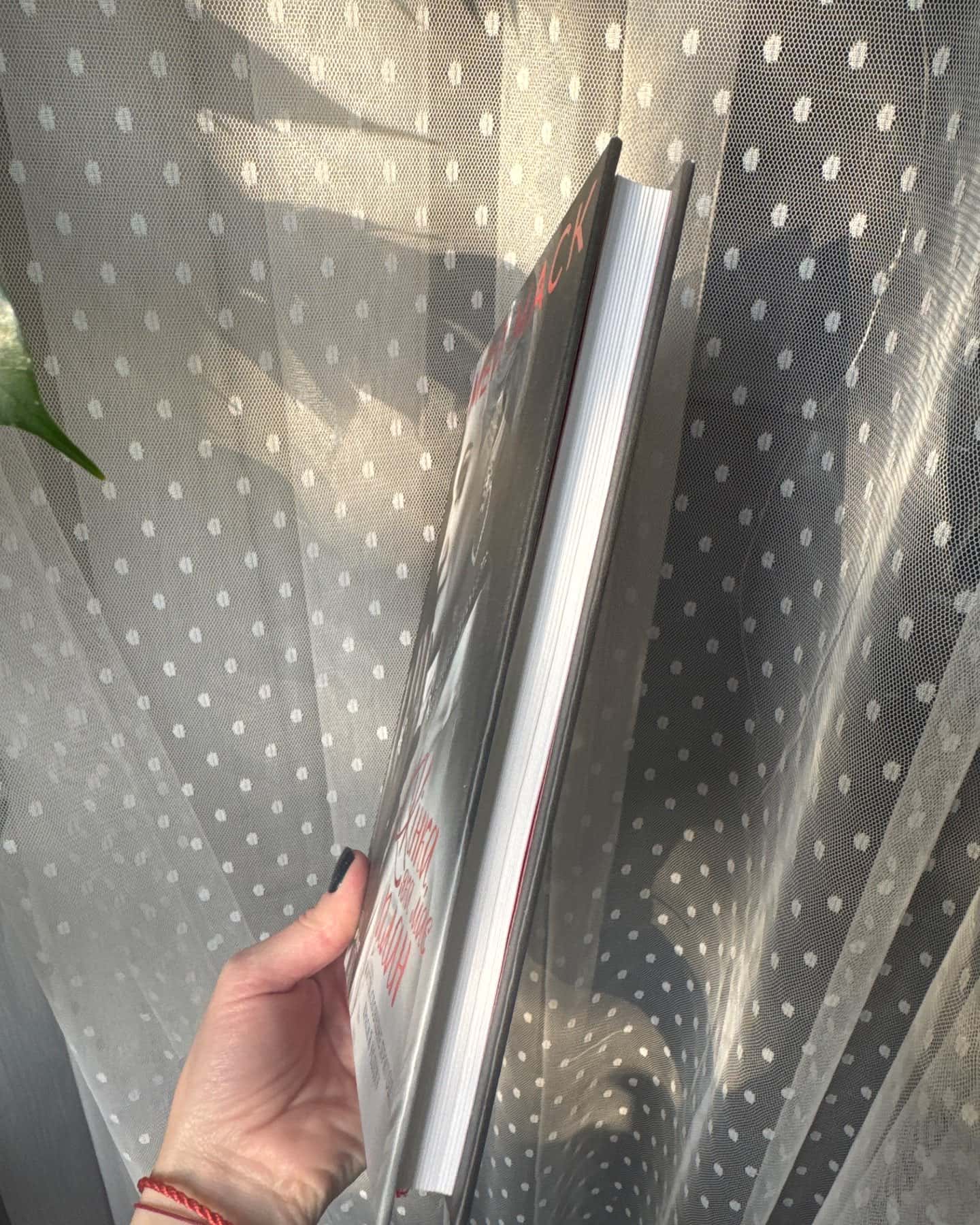 Жінка, яка має план. Життя, сповнене пригод, краси й успіху-Мей Маск