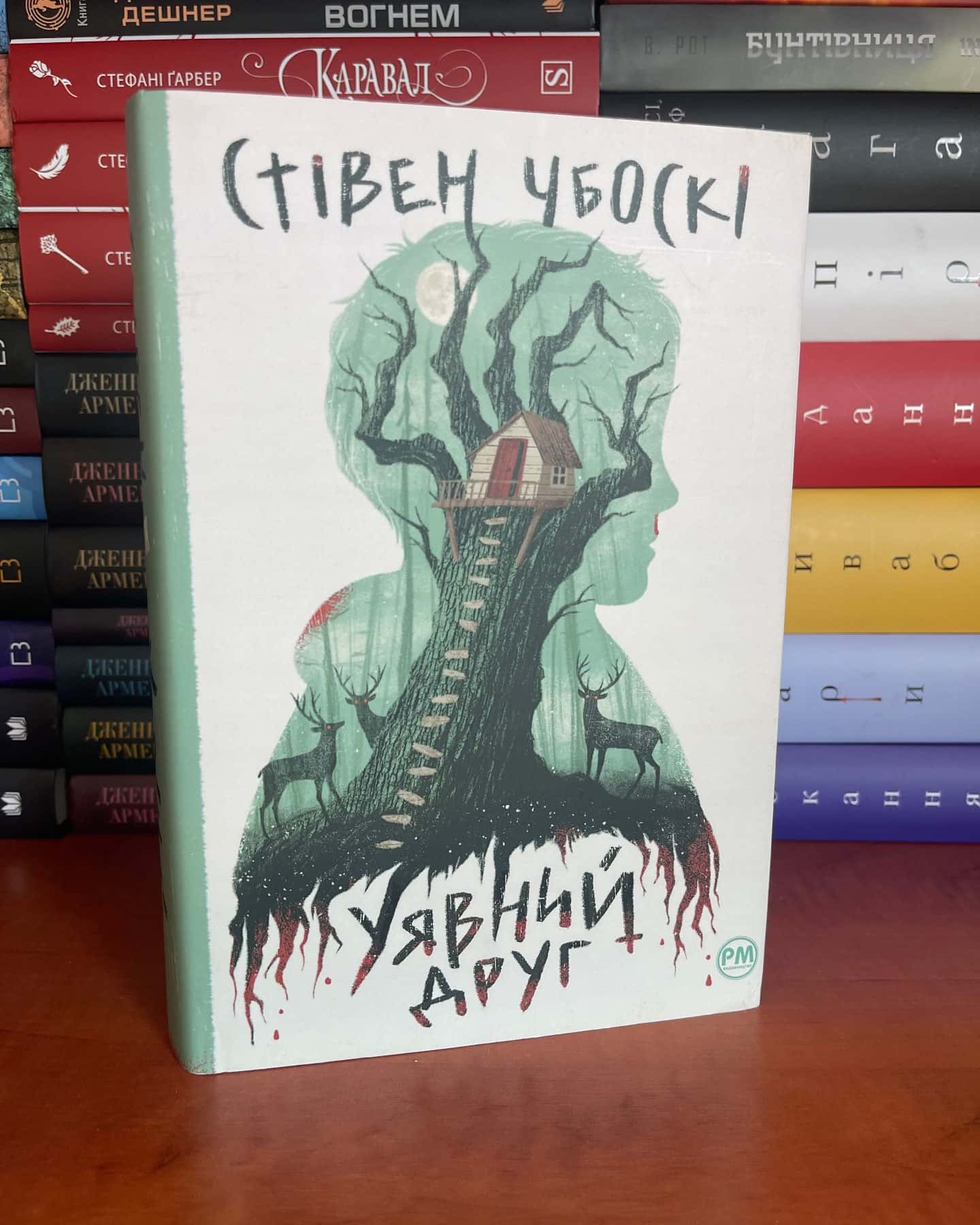 Уявний друг — Стівен Чбоскі