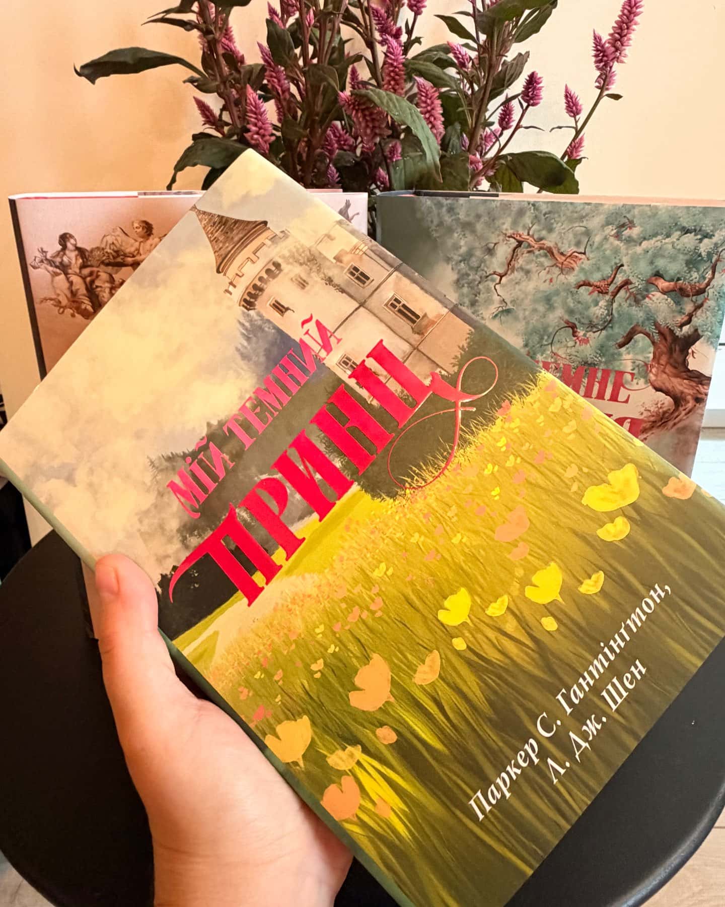 Мій темний Ромео, Моє темне бажання. Книга 2, Мій темний принц. Книга 3 — Паркер С. Гантінгтон, Л. Дж. Шен