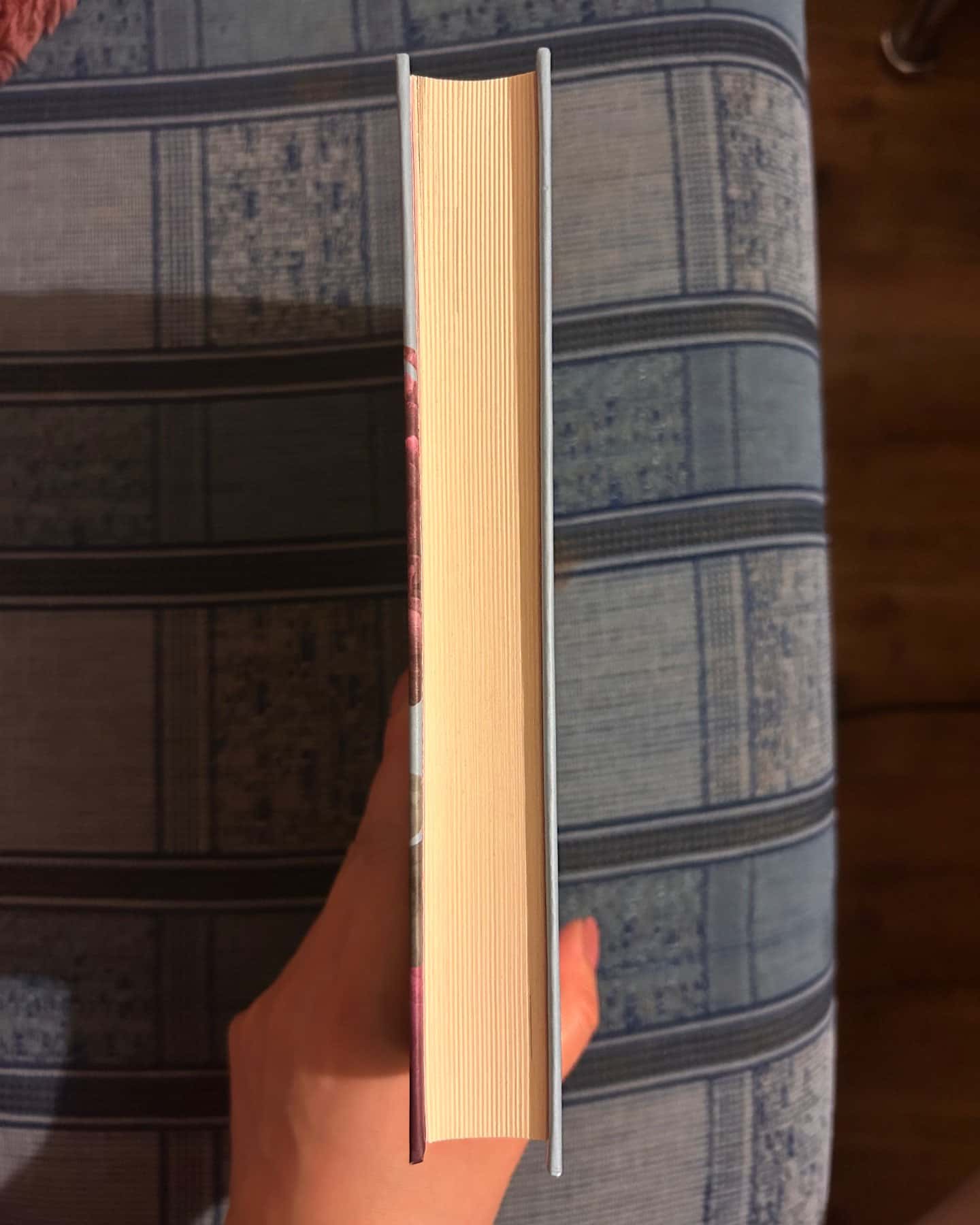 Дев'ять життів Роуз Наполітано-Донна Фрейтас