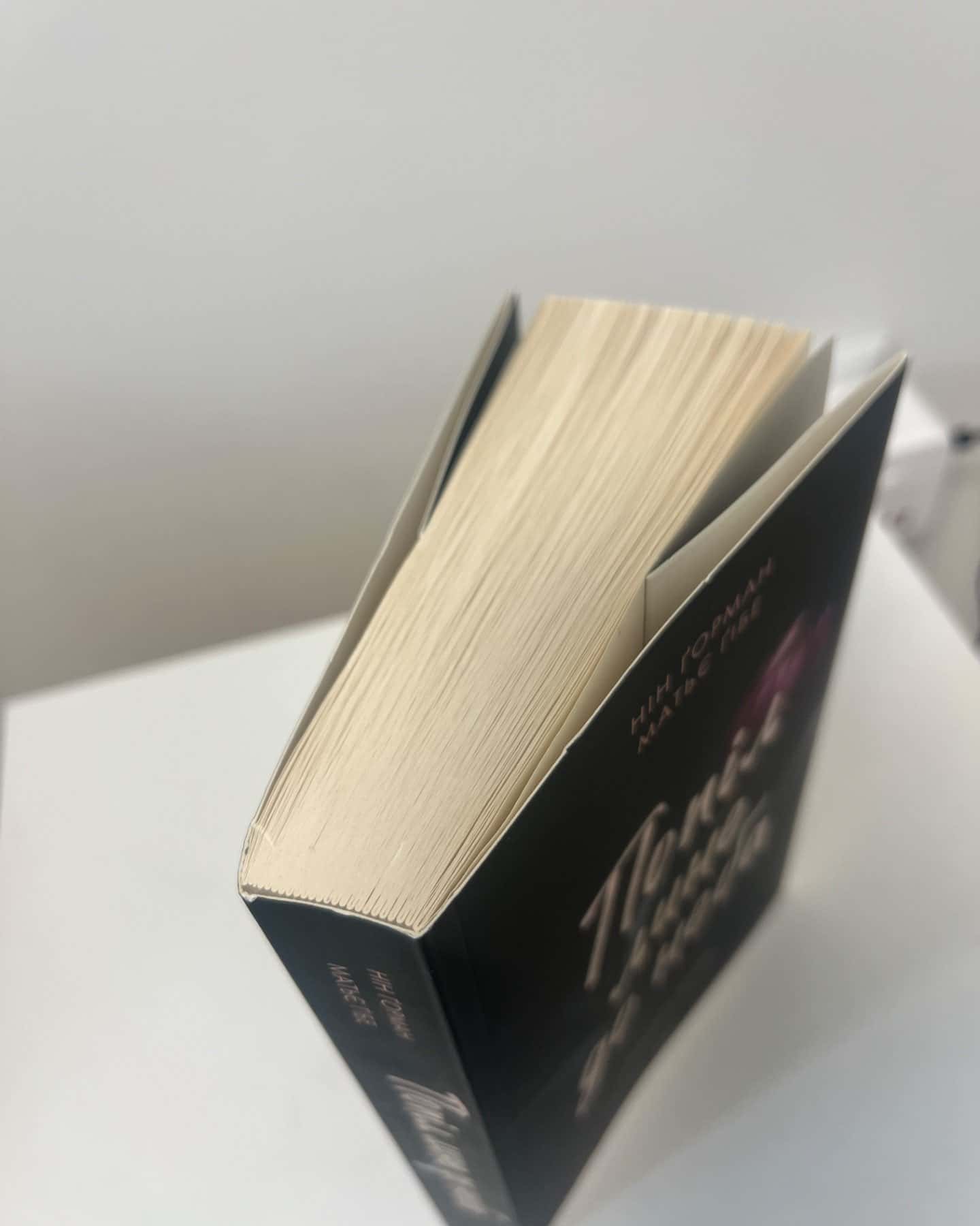 Попіл лине до неба. Том 1, Попіл лине до неба. Том 2-Матьє Ґібе, Нін Ґорман