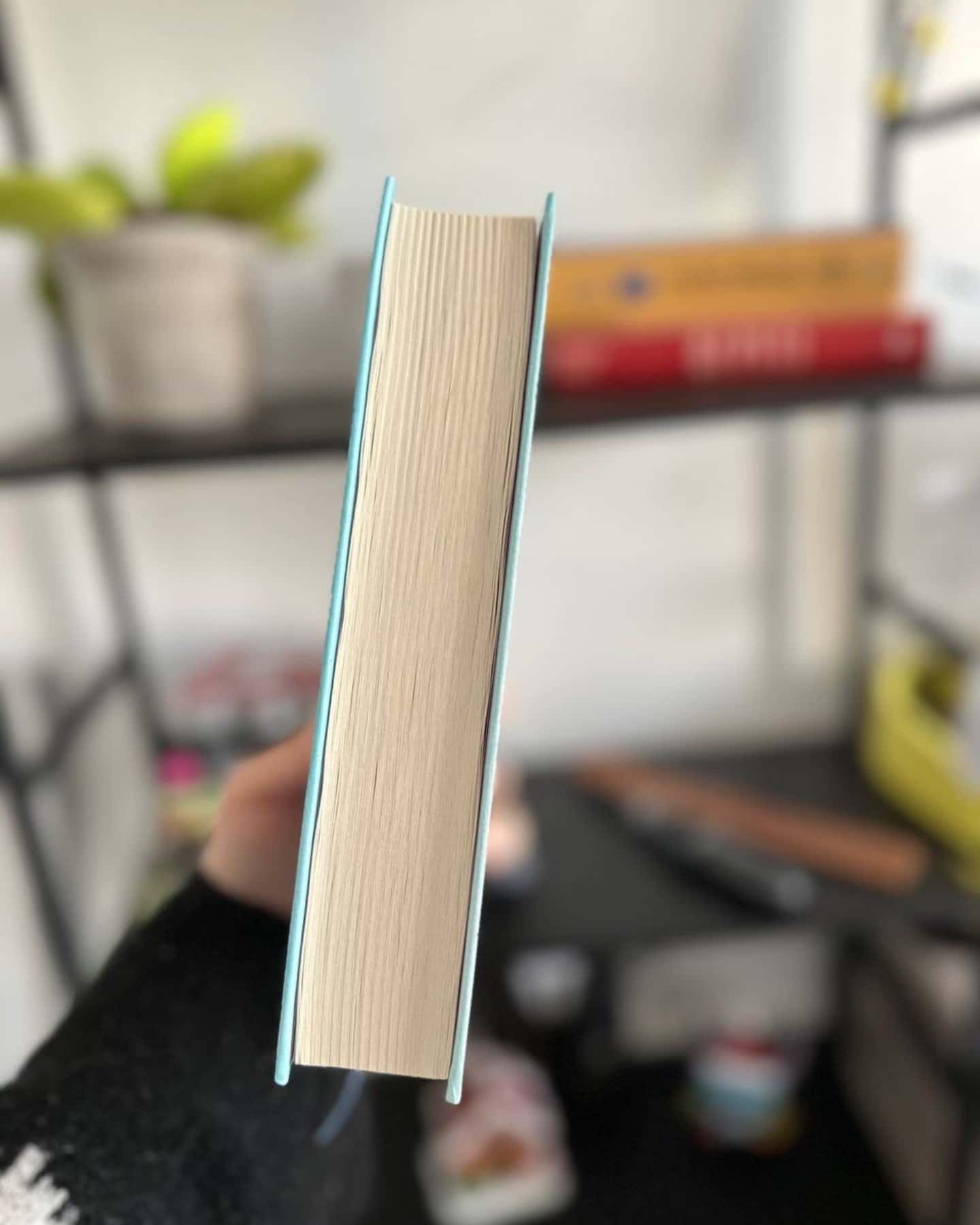 Щоденник покоївки-Лорет Енн Уайт