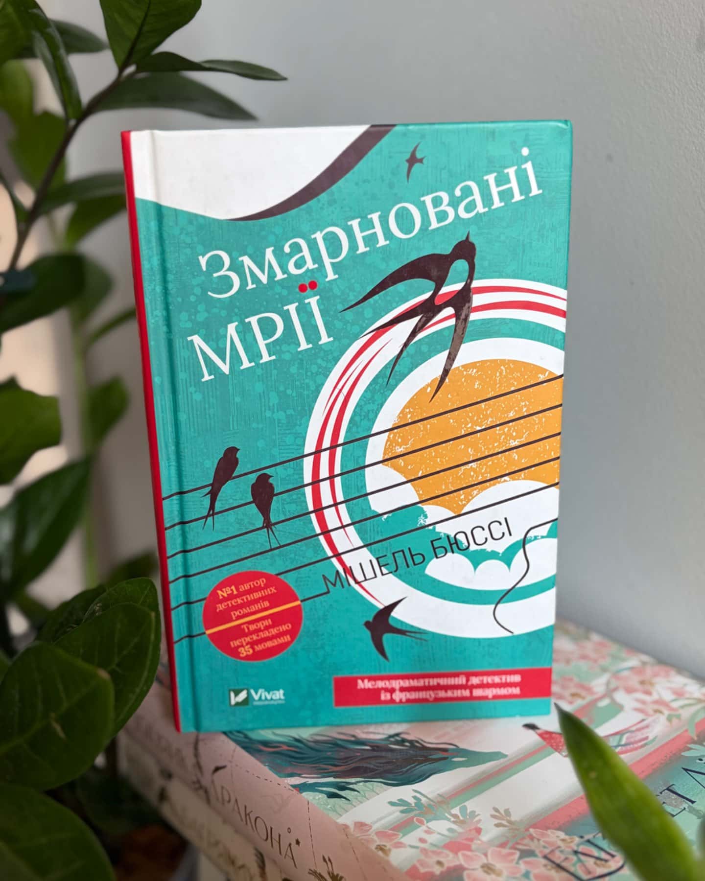 Змарновані мрії-Мішель Бюссі