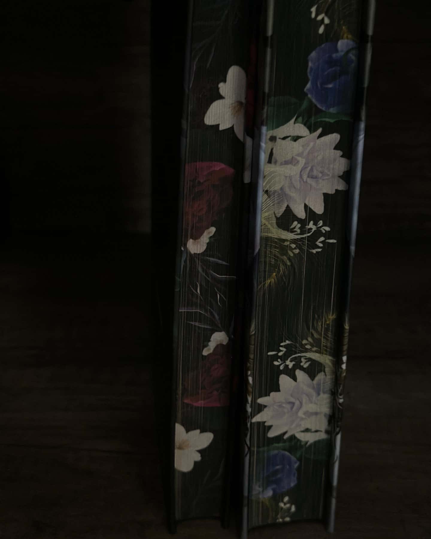 Непристойно багаті вампіри. Три королеви-Дженіва Лі