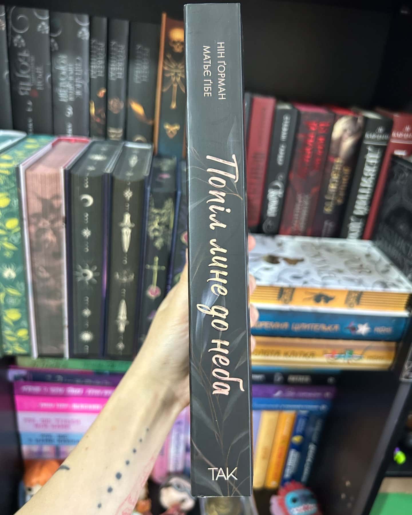Попіл лине до неба. Том 1-Матьє Ґібе, Нін Ґорман