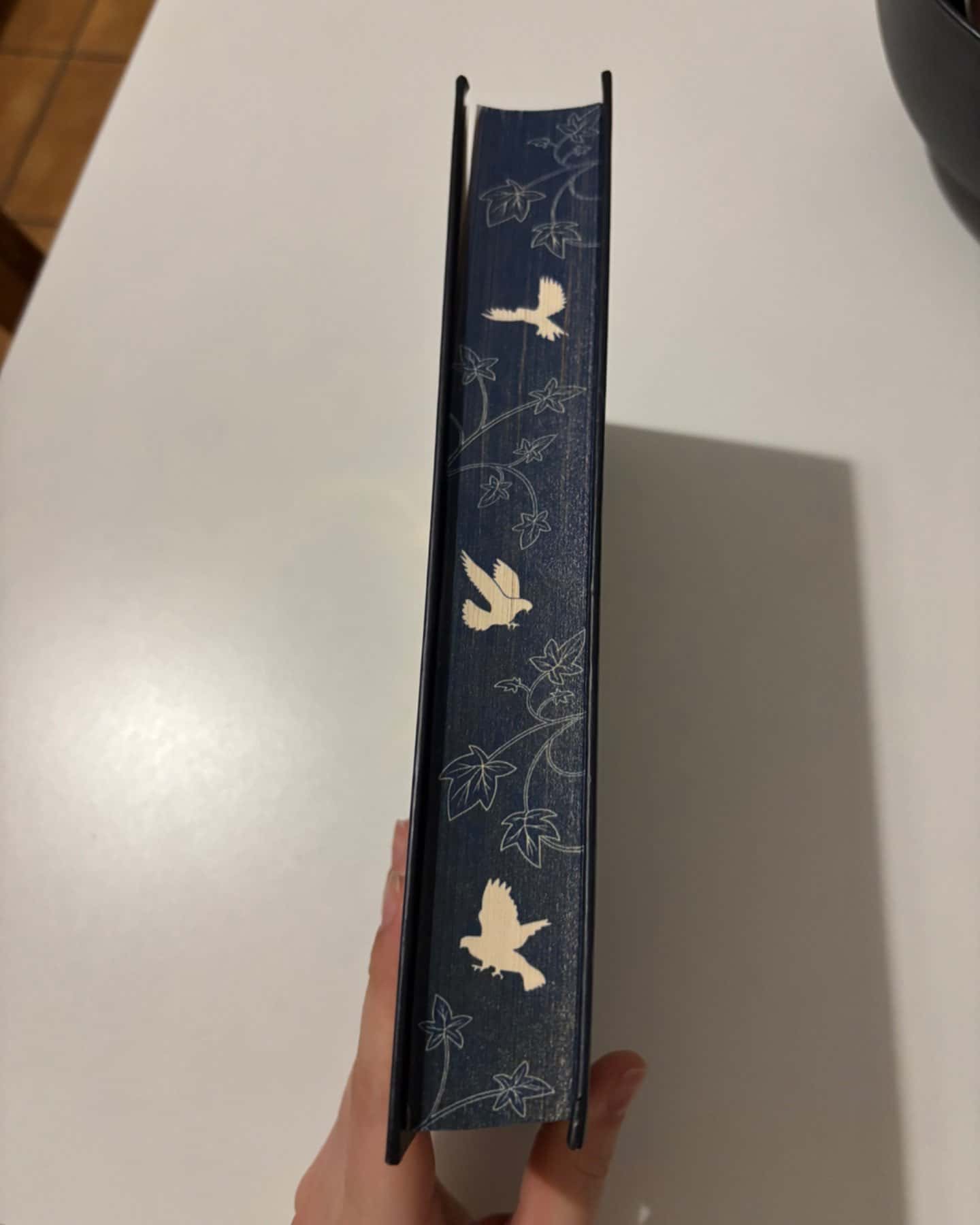 Пісня вічних дощів-Е.Дж. Меллов