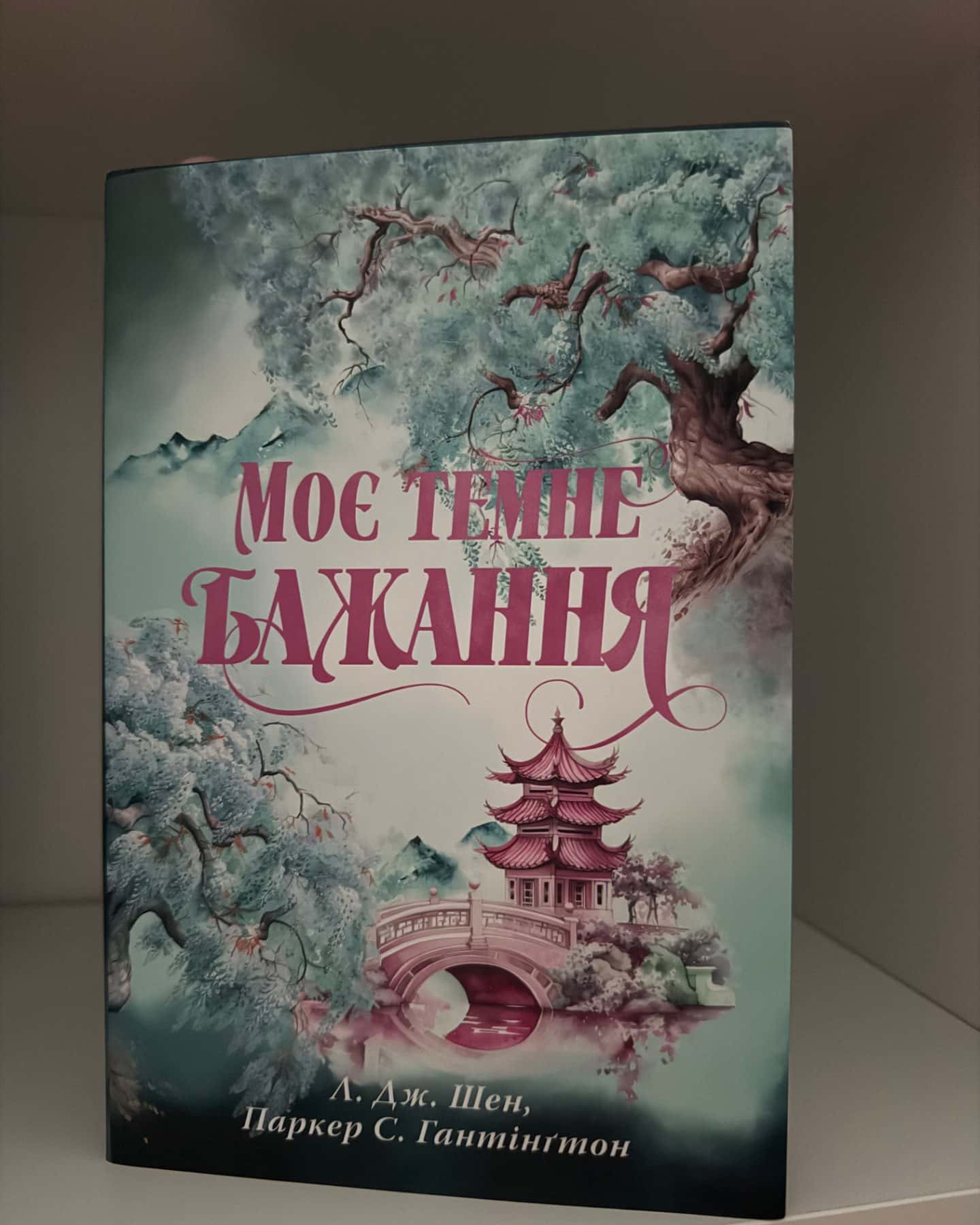 Моє темне бажання. Книга 2-Л. Дж. Шен, Паркер С. Гантінгтон