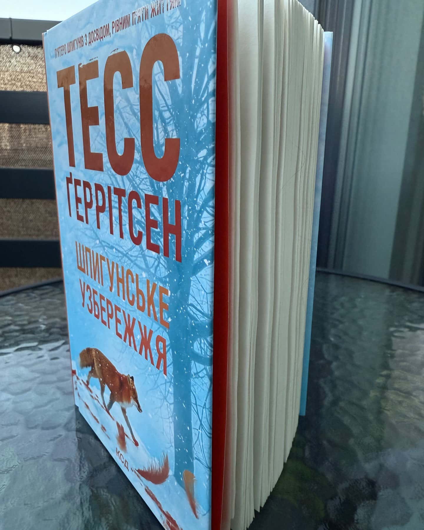 Шпигунське узбережжя. Книга 1-Тесс Ґеррітсен