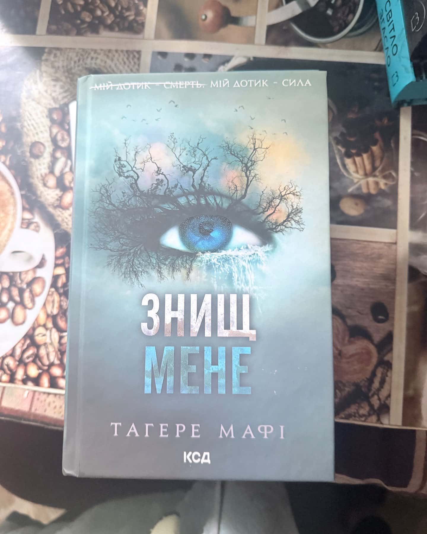 Розгадай мене. Книга 2, Знищ мене. Книга 1-Тагере Мафі