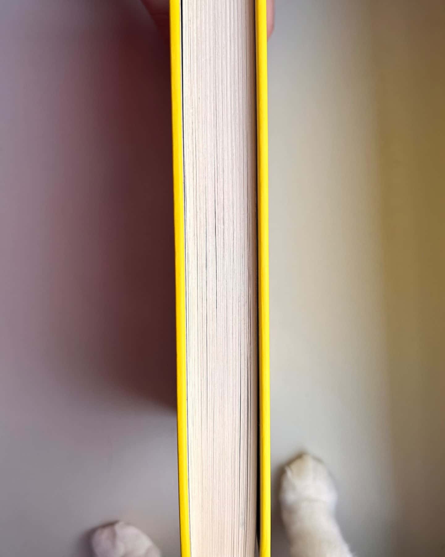 Жовтолика-Ребекка Кван