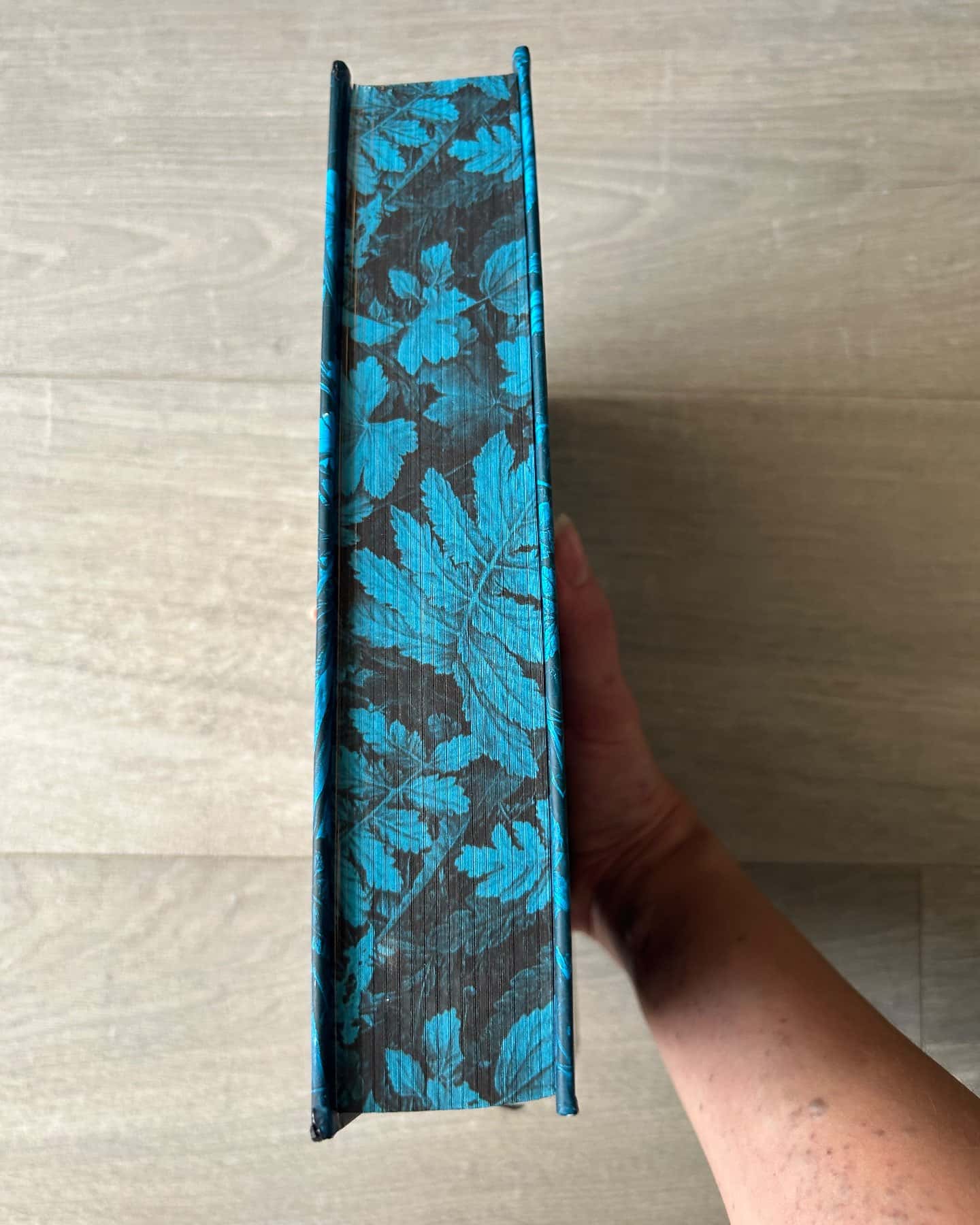 Мідноголовий демон (Limited edition) — Барбара Кінґсолвер