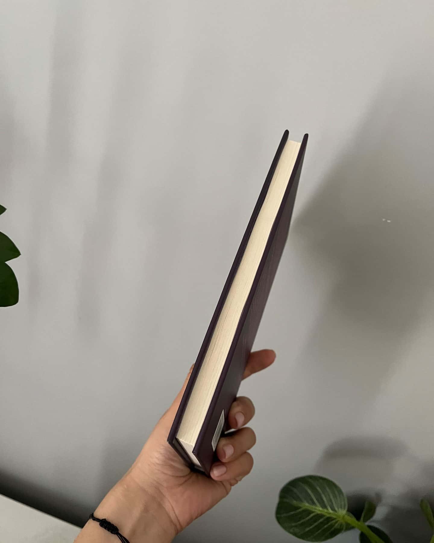 Гірке солодке кохання. Книга 0.5 — Дженніфер Л. Арментраут