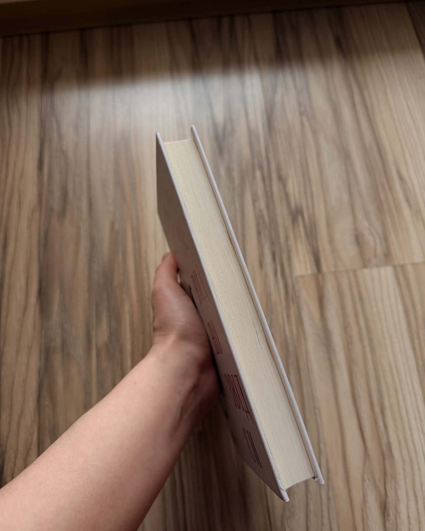 Те, що видно звідси-Маріана Лекі