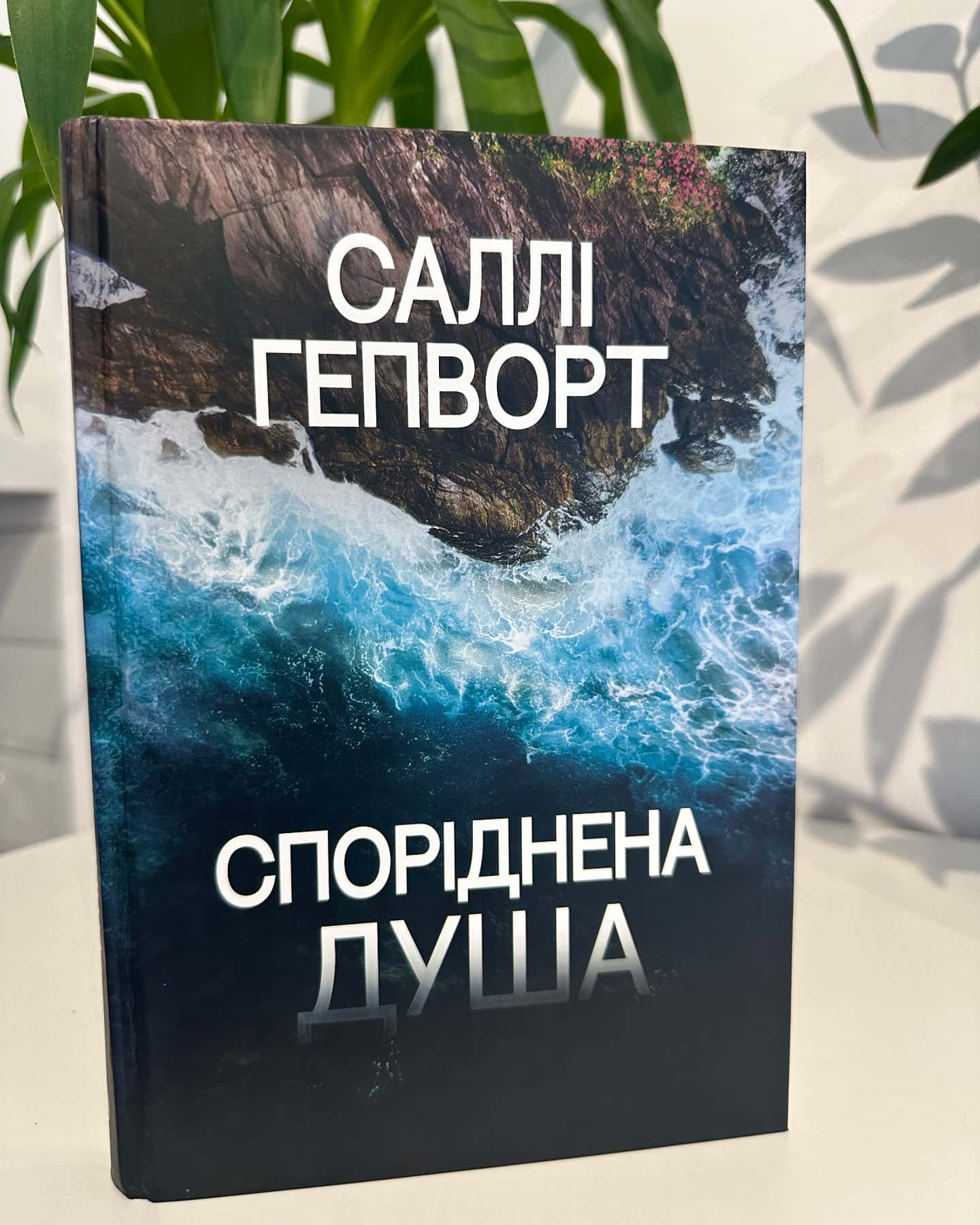 Споріднена душа-Саллі Гепворт