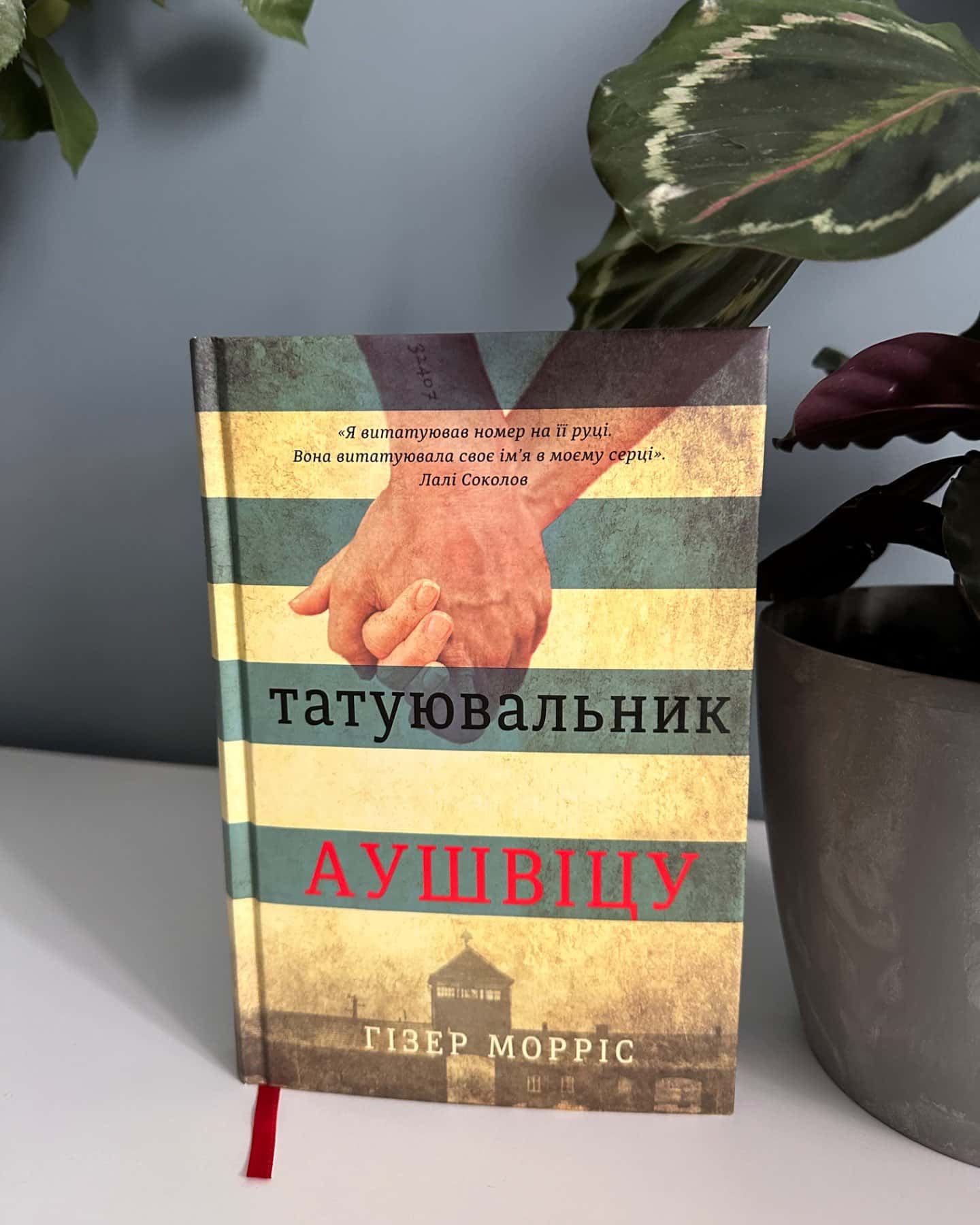 Татуювальник Аушвіцу-Гізер Морріс