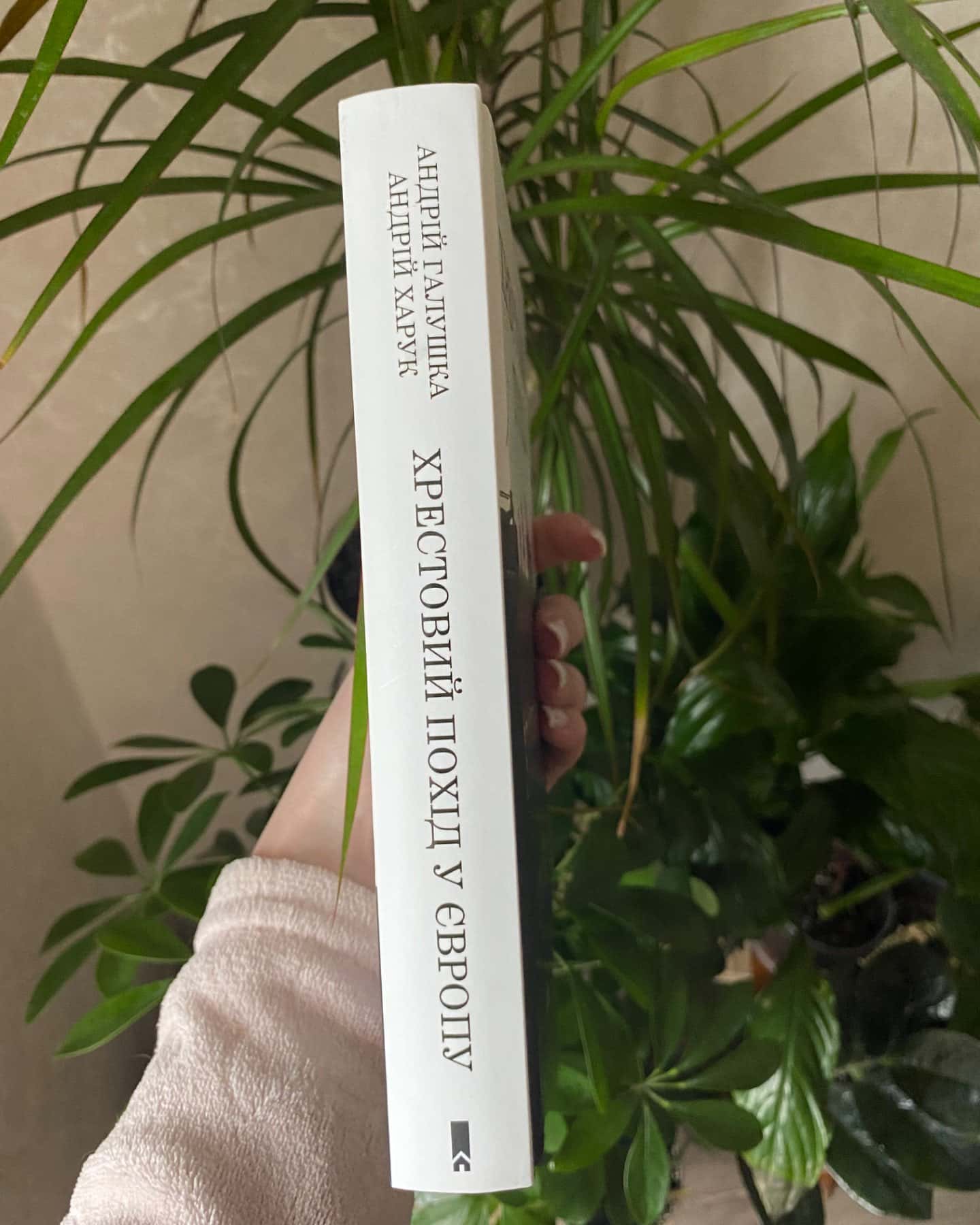 Хрестовий похід у Європу-Андрій Галушка Андрій Харук