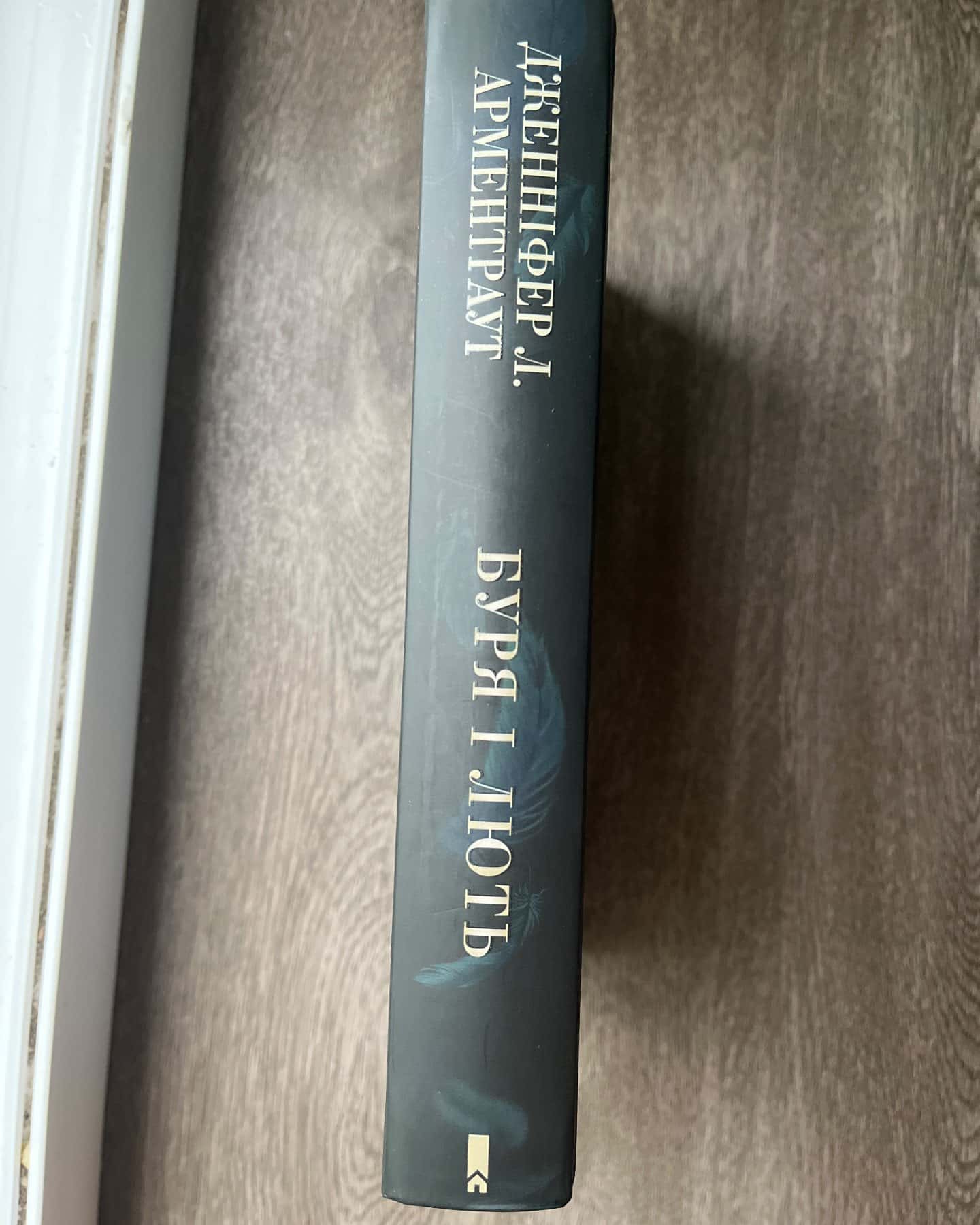 Буря і лють. Книга 1 — Дженніфер Л. Арментраут