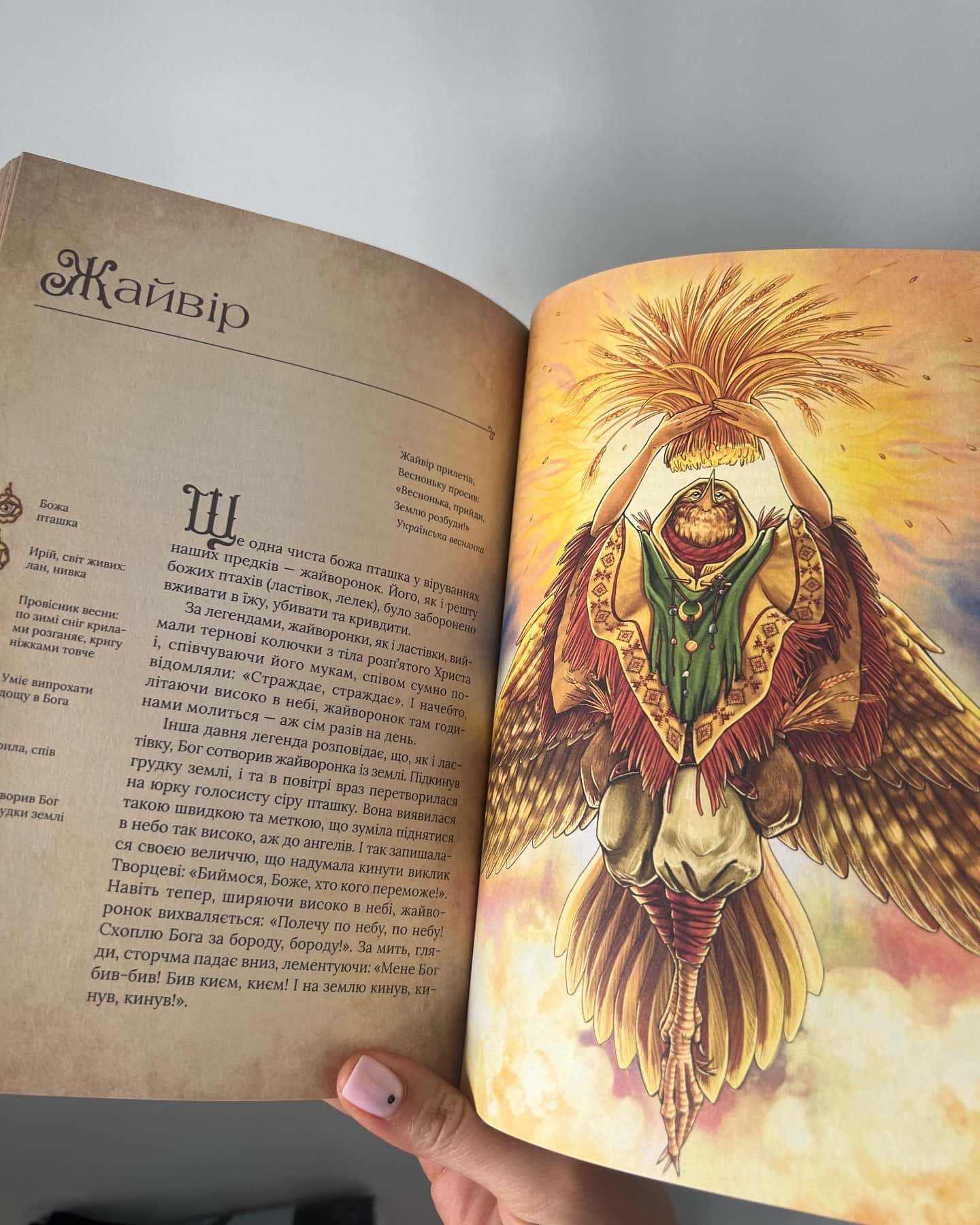 Чарівний звірослов українського міфу. Птахи-Дара Корній