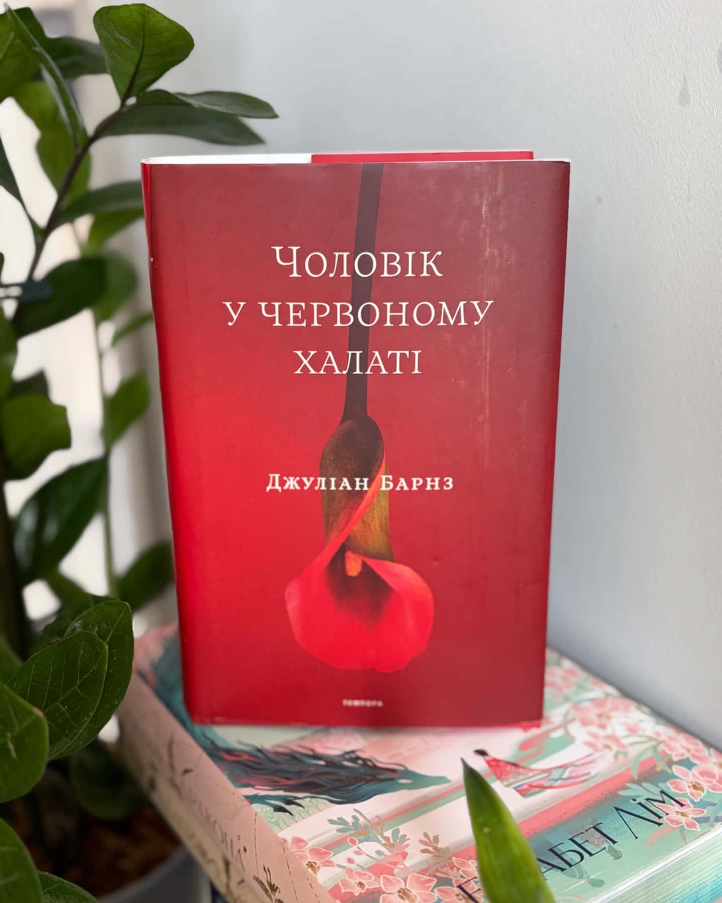 Чоловік у червоному халаті-Джуліан Барнз