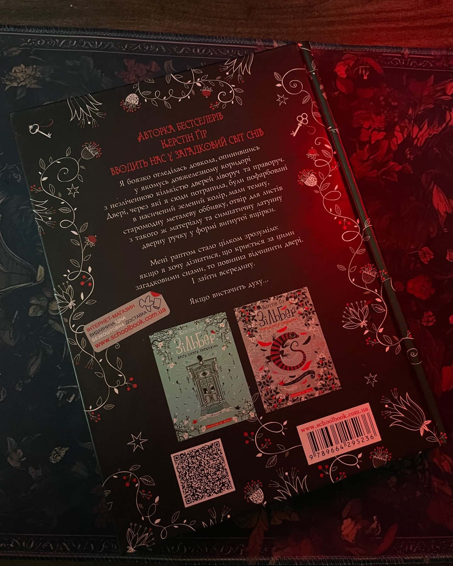 Зільбер. Перша книга сновидінь-Керстін Гір