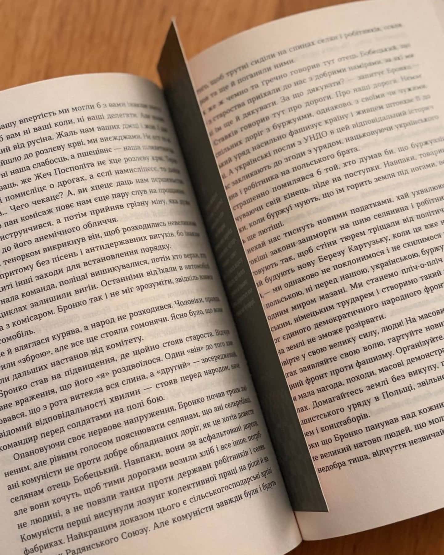 Сестри Річинські. Том 1-Ірина Вільде