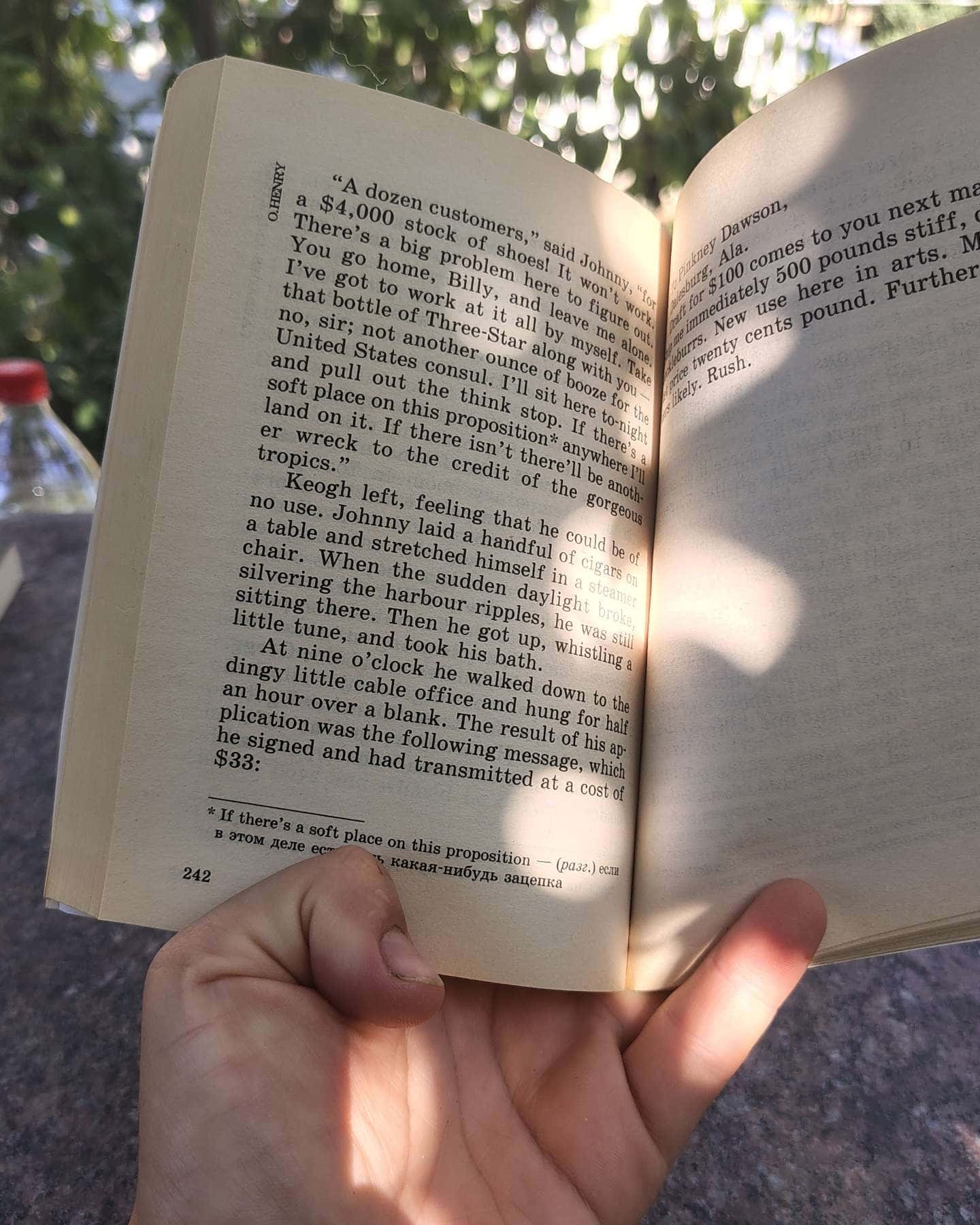 Cabbages and kings — O.Henry