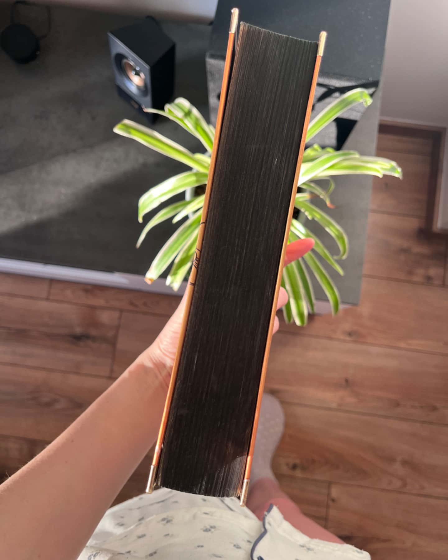 Четверте крило. Емпіреї. Книга 1-Ребекка Яррос