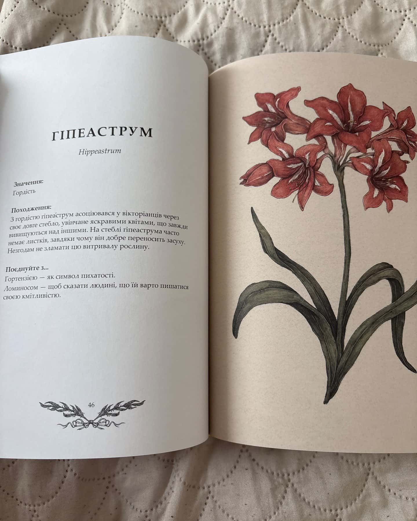 Флорографія. Ілюстрований довідник з вікторіанської мови квітів — Джессіка Ру