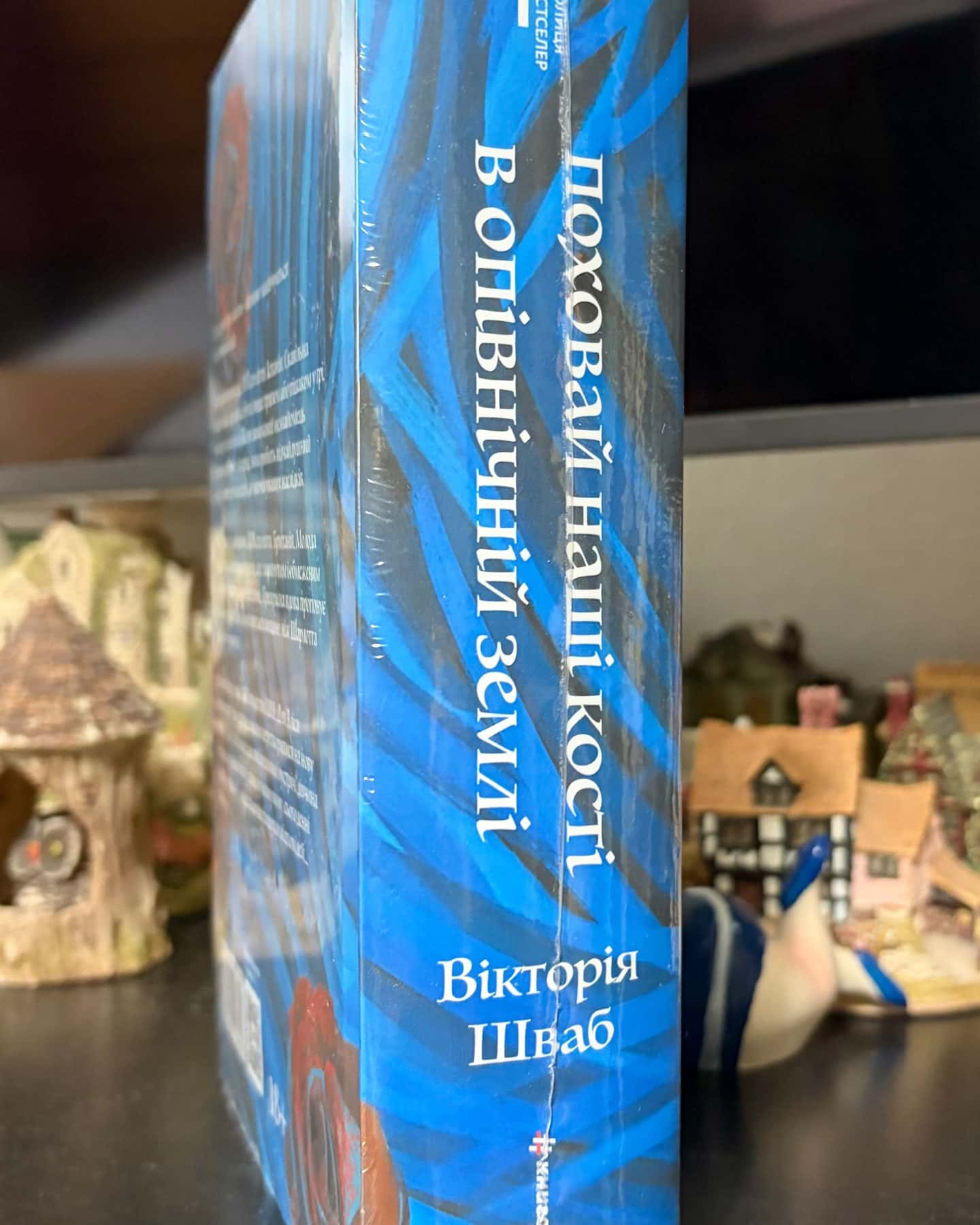 Поховай наші кості в опівнічній землі — Вікторія Шваб