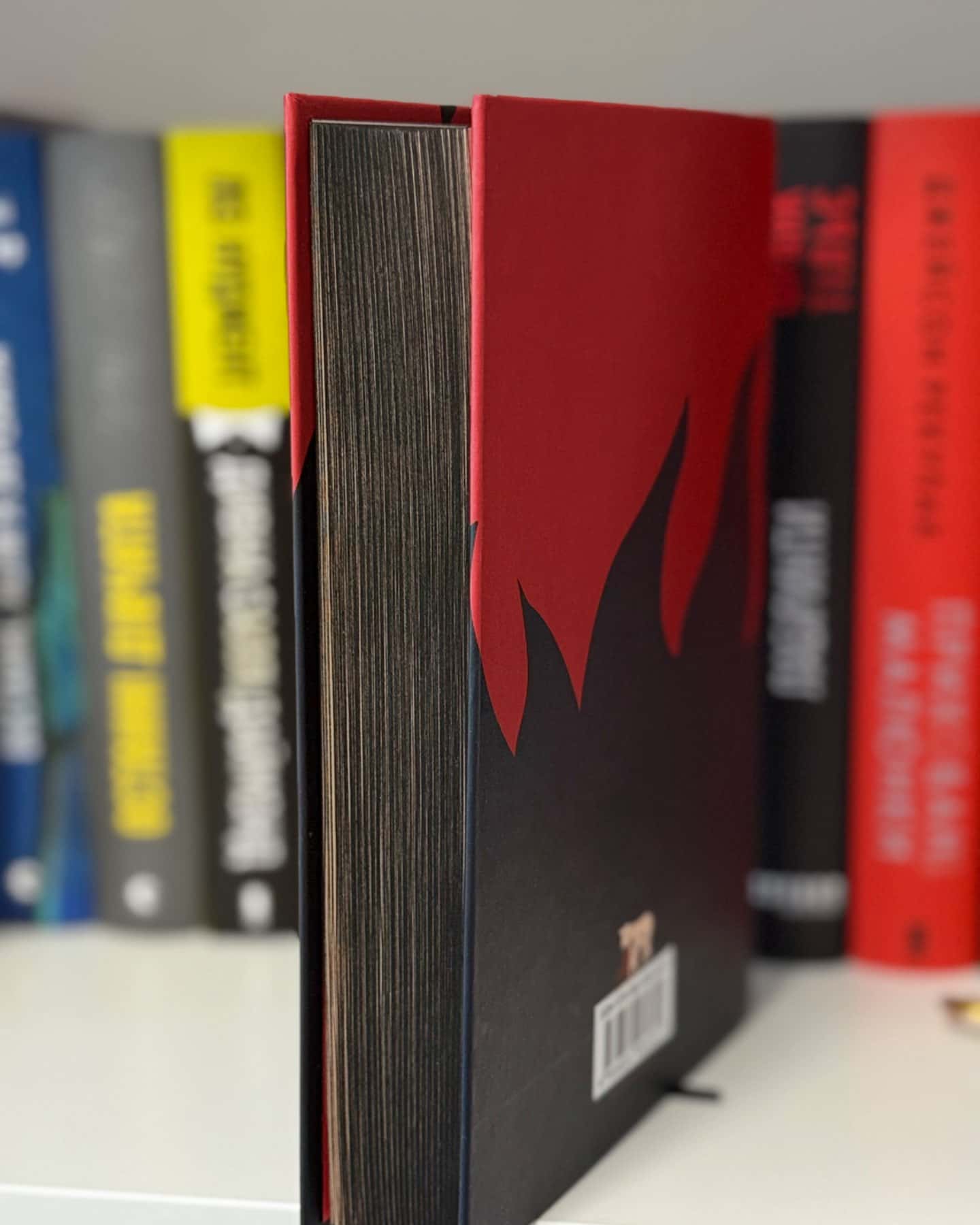 Чорна Вівця-Рейчел Гаррісон