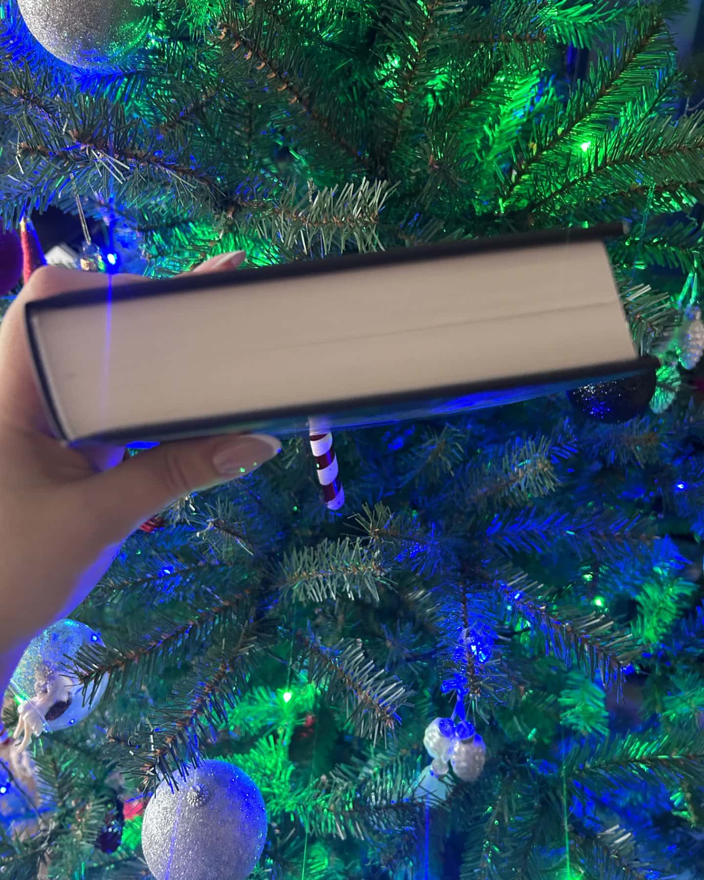 Не та сестра-Клер Дуглас