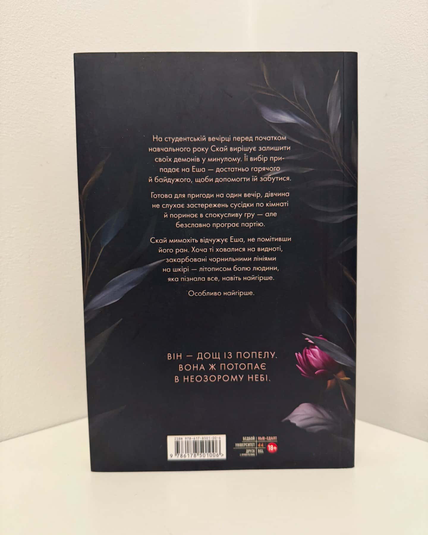 Попіл лине до неба. Том 1-Матьє Ґібе, Нін Ґорман